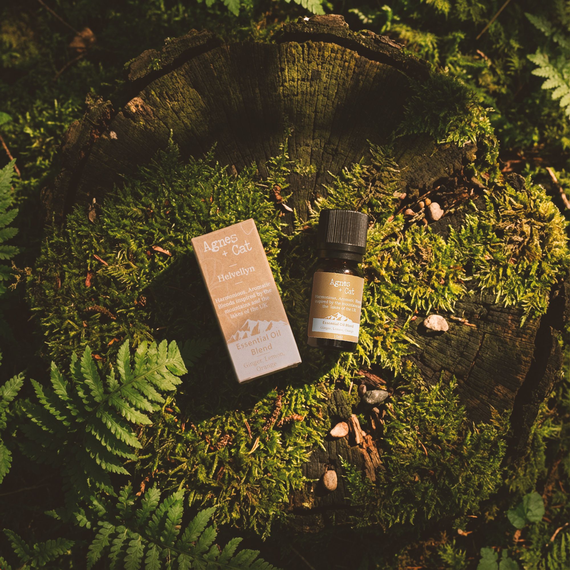3x etherische olie mix - Windermere - citroen, tea tree en pepermunt - Afbeelding 4