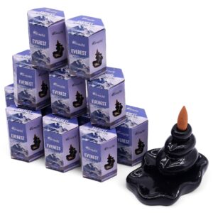 12 x pack met ieder 10 stuks Masala Backflow Wierrook