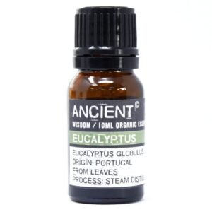 Biologische etherische olie - Eucalyptus